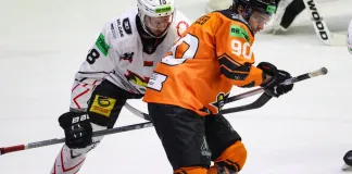 Алексей Сергеев — о серии с «Гомелем»: Для такой молодой команды это очень хороший опыт