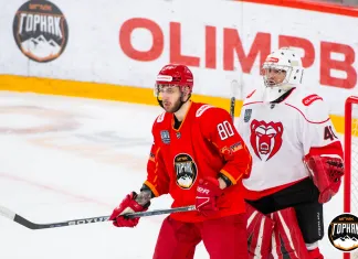 ВХЛ. 1/8 финала. Демидович стал автором гола, Карпович отдал ассист, Лубский вышел на замену. Итоги 29 марта