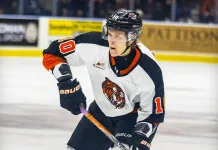 CHL. 1/8 финала. Два очка Брызгалова, 31 сейв Ермоленко, неудачный матч Радькова — статистика белорусов 1 апреля