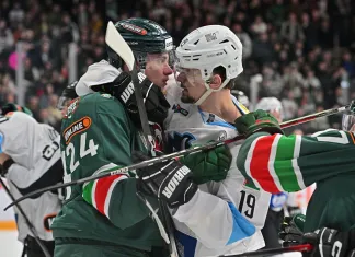 «Вы сами руками отдали кубок». Алексей Шевченко — о поражении минского «Динамо», менеджменте и легионерах