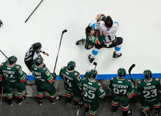 Владимир Плющев: Меня не удивил конечный результат, но «Динамо» должно было забирать хотя бы одну игру дома