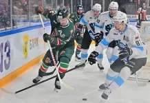 Дэвид Немировски назвал возможную причину поражения минского «Динамо» в серии против «Ак Барса»