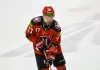 Форвард с богатым опытом игры в ВХЛ перешел в «Гомель»