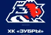 ХК «Брест» обнародовал название и логотип своего фарм-клуба в Высшей Лиге