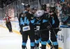 Самир Арар: Минское «Динамо» будет вообще другой командой