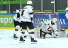 Кубок Цыплакова. «Рыси» — «Юниор», Беларусь U17 — «Зубры», «Локо» — «Рыцари», «Нефтехимик» — «Ястребы». Трансляции 20 августа
