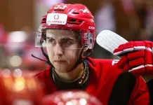 Экс-защитник «Локо» Иван Лузин продолжит карьеру в «Днепровских львах»