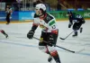 «Гомель» всухую разгромил новополоцкий «Химик»