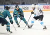 КХЛ назвала плюсы минского «Динамо» и «Сочи» перед очным матчем