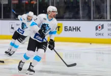 Экс-форвард минского «Динамо» Демков заявил, что Гарднер выполняет больший объём работы, чем Стась
