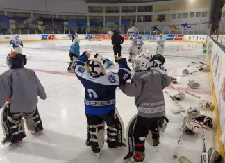 Федерация хоккея Беларуси проводит учебно-тренировочный лагерь для юных голкиперов