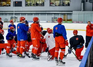 Букмекеры не сомневаются в успешном старте сборной Беларуси на МЧМ
