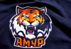 Амур Амур